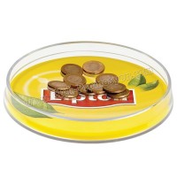 Ucuz Promosyon Para Tabağı Oval AMG13025-A Ucuz Promosyon Para Tabağı Oval AMG13025-A